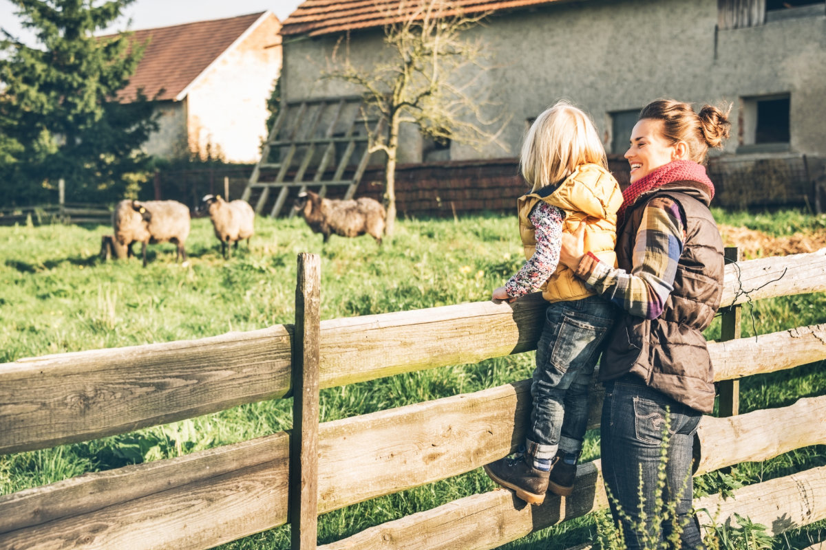 Holiday in a farm chalet
