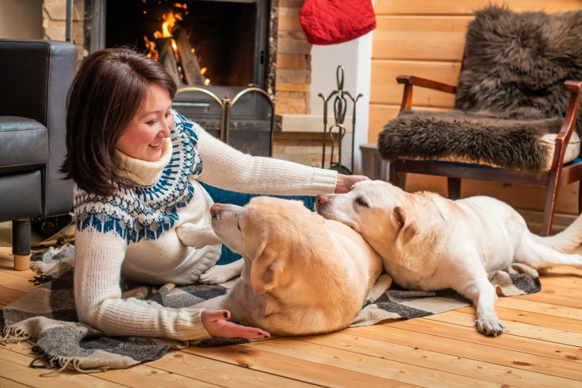 Holiday with dog - Farm chalet