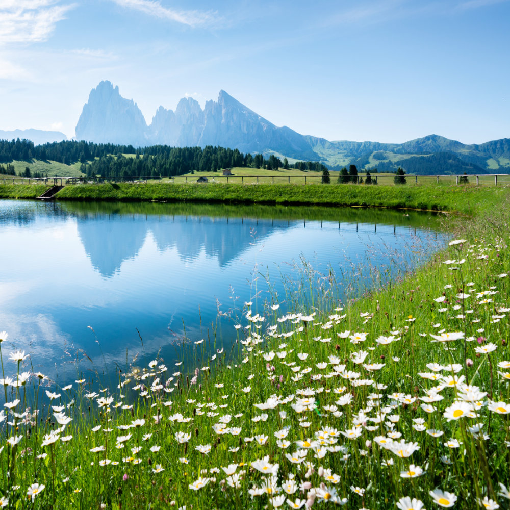 Alpe di Siusi