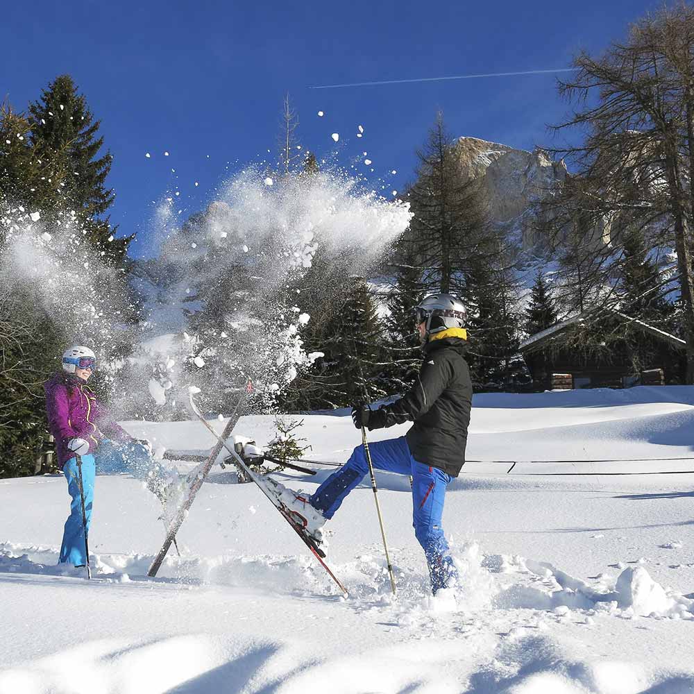 Chalets on the ski slopes