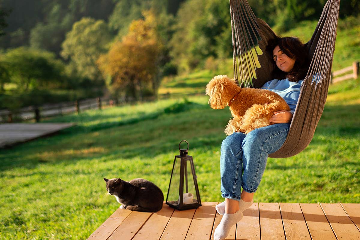 Luxury chalet for a holiday with dog