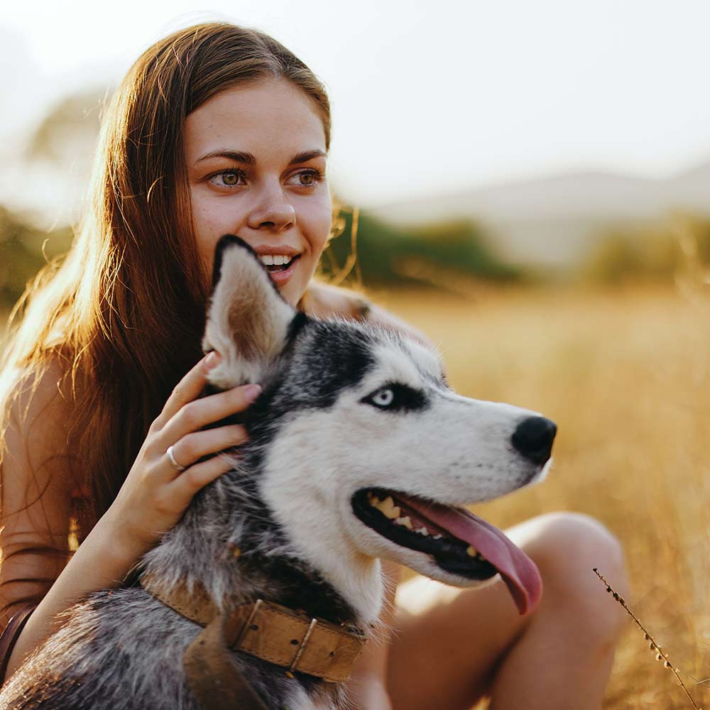 Luxury chalet with dog