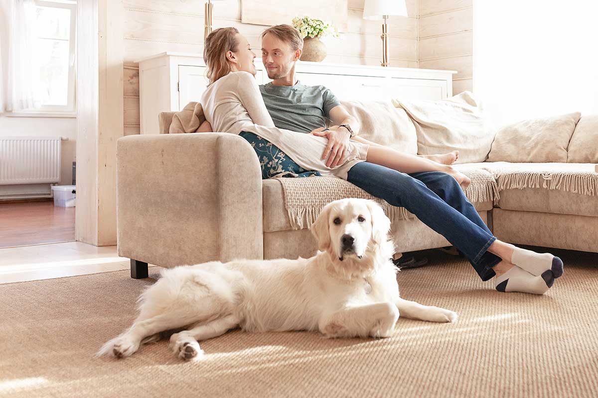 Dog-friendly chalets