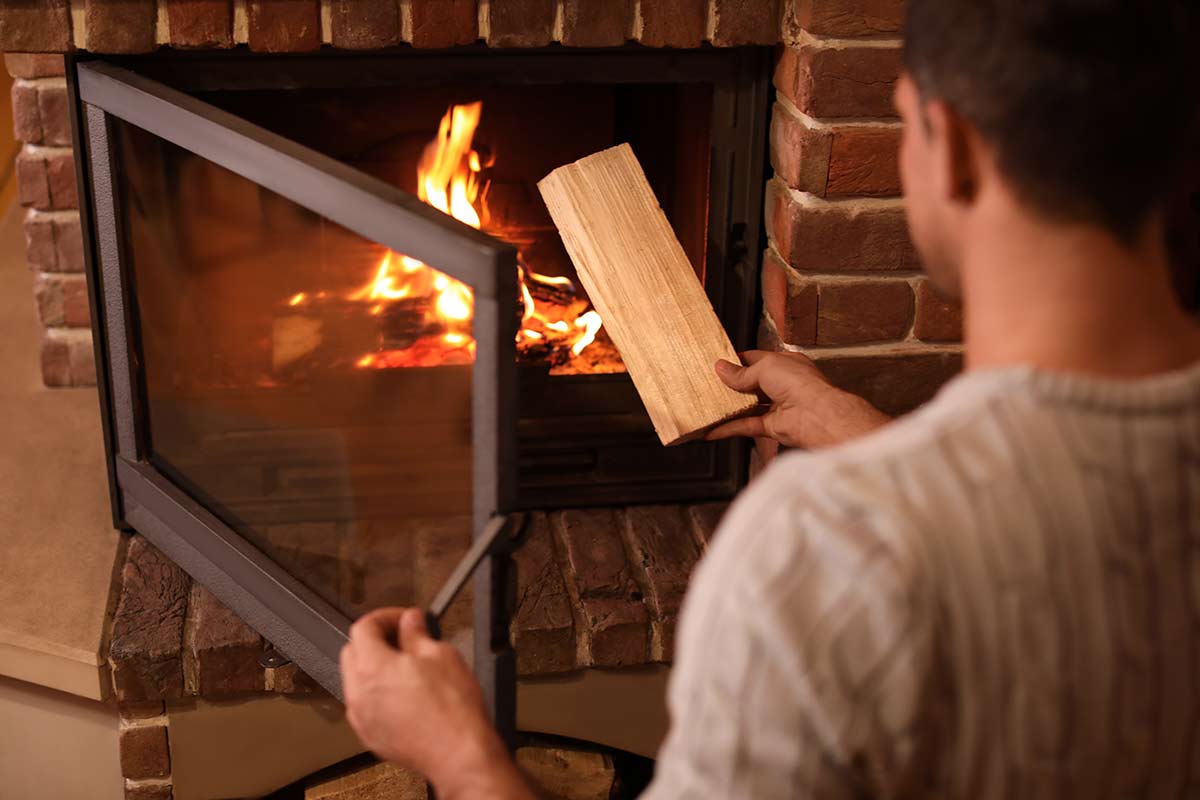 Fireplace - Forest chalets